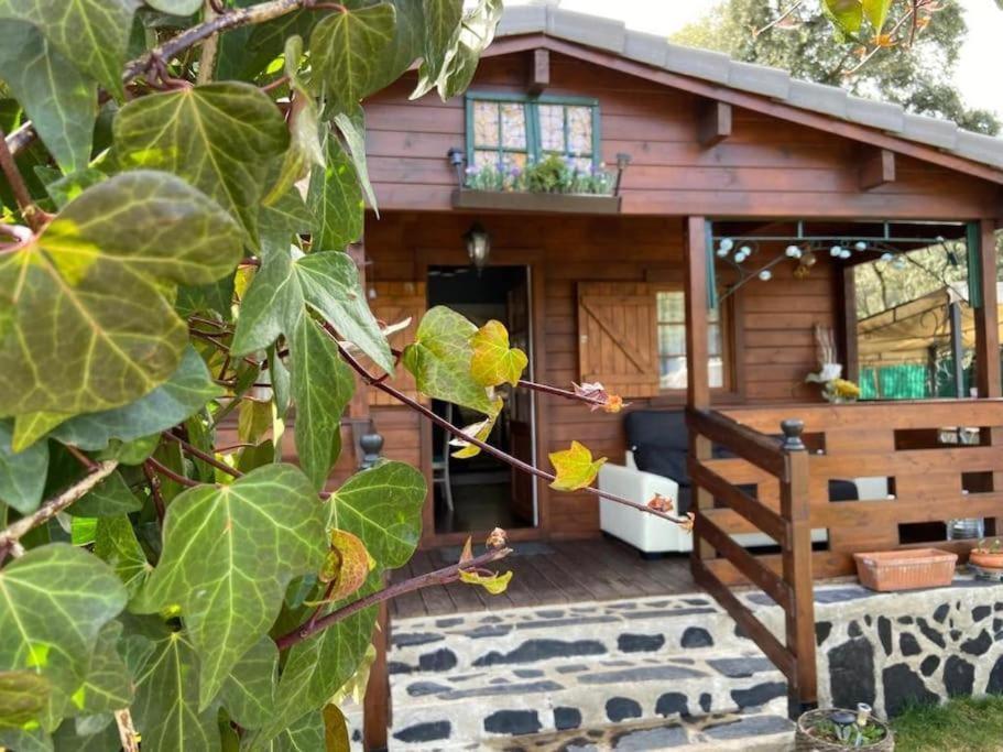 Desconexion Y Paz, Cabana En La Sierra Albalate de Zorita Kültér fotó