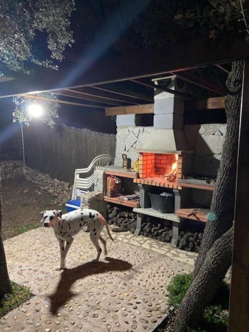 Desconexion Y Paz, Cabana En La Sierra Albalate de Zorita Kültér fotó